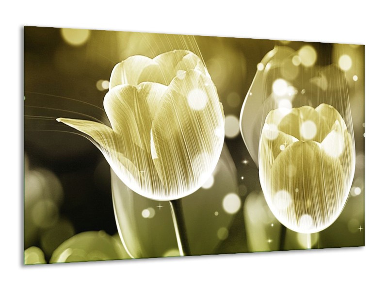 Canvas schilderij Tulp | Wit, Grijs | 120x70cm 1Luik