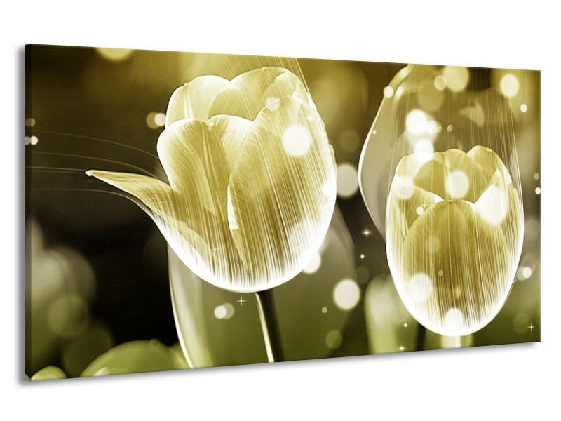 Canvas schilderij Tulp | Wit, Grijs | 190x100cm 1Luik