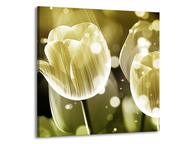 Canvas schilderij Tulp | Wit, Grijs | 50x50cm 1Luik