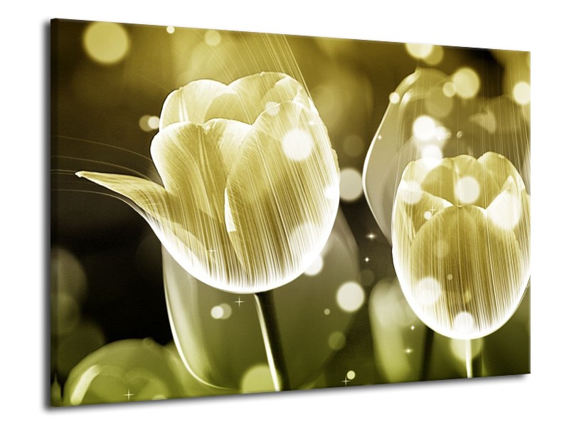 Canvas schilderij Tulp | Wit, Grijs | 70x50cm 1Luik