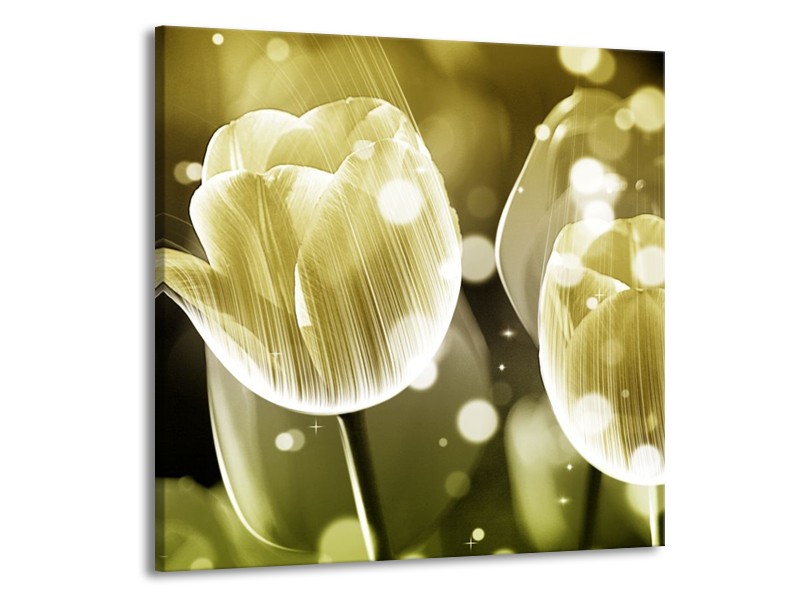 Canvas schilderij Tulp | Wit, Grijs | 70x70cm 1Luik