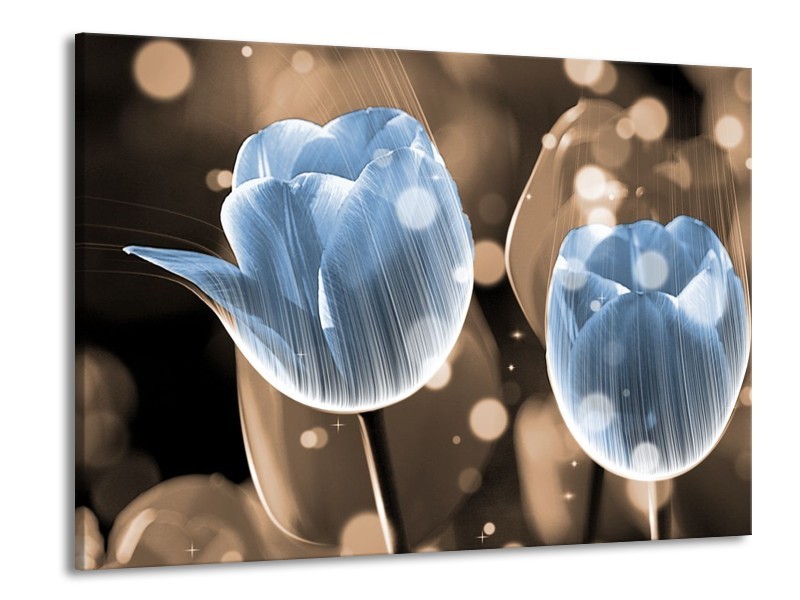 Canvas schilderij Tulp | Blauw, Grijs | 100x70cm 1Luik