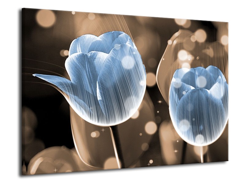 Canvas schilderij Tulp | Blauw, Grijs | 70x50cm 1Luik