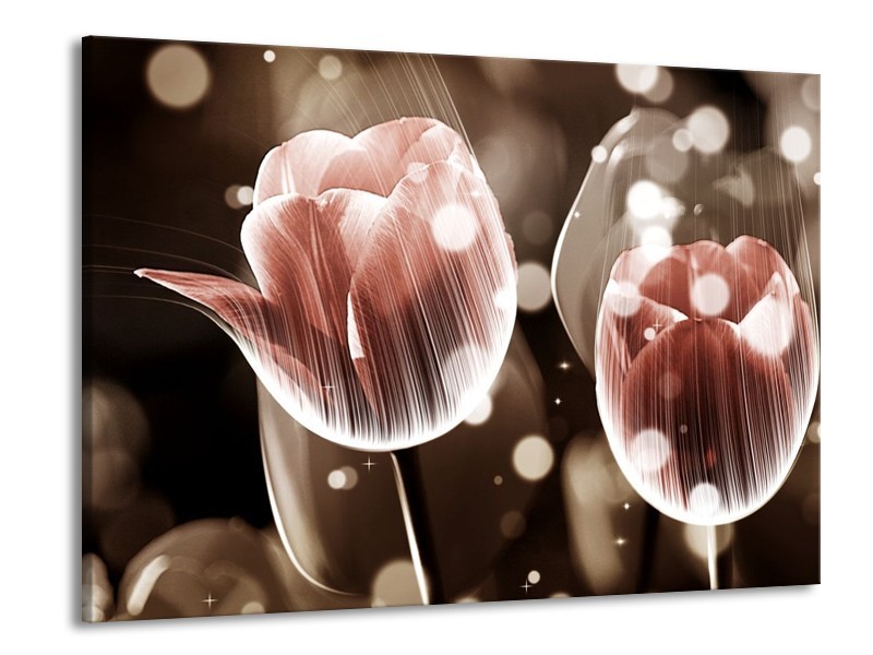 Canvas schilderij Tulp | Bruin, Grijs | 100x70cm 1Luik