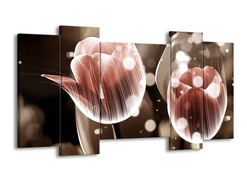 Canvas schilderij Tulp | Bruin, Grijs | 120x65 5Luik