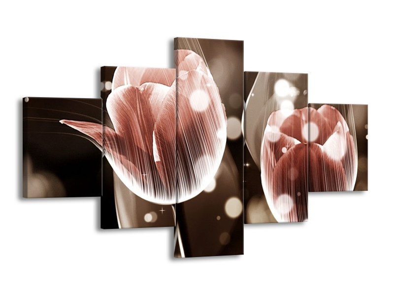 Canvas schilderij Tulp | Bruin, Grijs | 125x70cm 5Luik