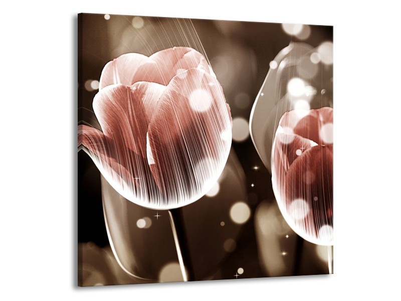 Canvas schilderij Tulp | Bruin, Grijs | 50x50cm 1Luik