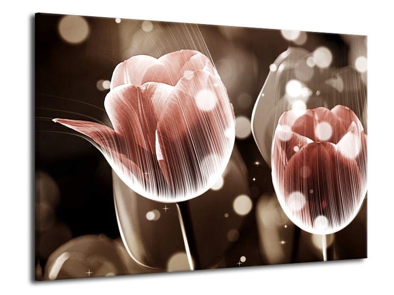 Canvas schilderij Tulp | Bruin, Grijs | 70x50cm 1Luik