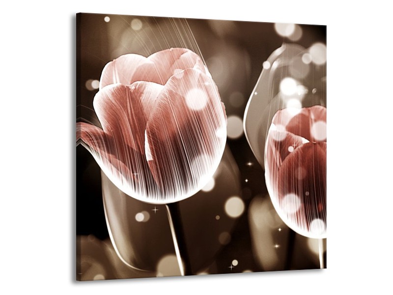 Canvas schilderij Tulp | Bruin, Grijs | 70x70cm 1Luik