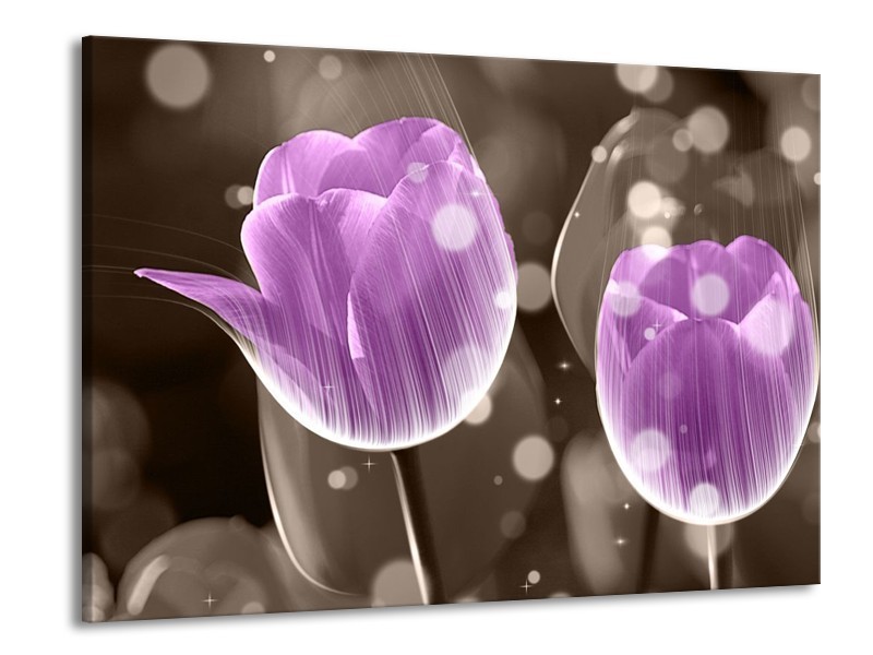 Canvas schilderij Tulp | Paars, Grijs | 100x70cm 1Luik
