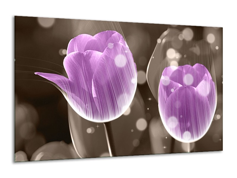 Canvas schilderij Tulp | Paars, Grijs | 120x70cm 1Luik