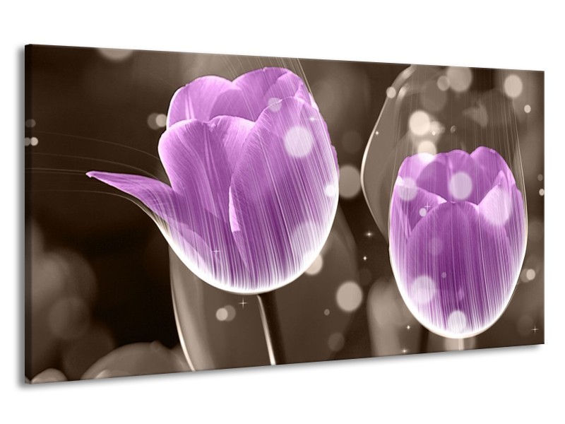 Canvas schilderij Tulp | Paars, Grijs | 190x100cm 1Luik