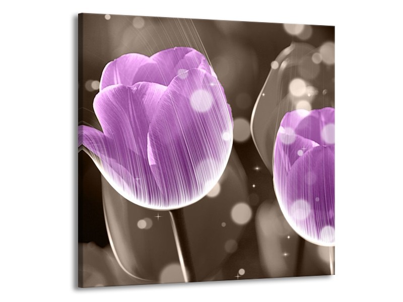 Canvas schilderij Tulp | Paars, Grijs | 50x50cm 1Luik