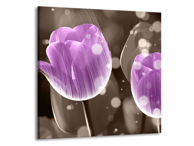 Canvas schilderij Tulp | Paars, Grijs | 70x70cm 1Luik
