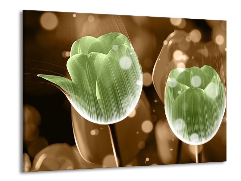 Canvas schilderij Tulp | Groen, Bruin | 100x70cm 1Luik