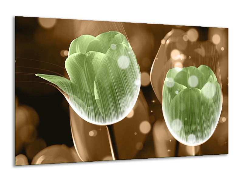 Canvas schilderij Tulp | Groen, Bruin | 120x70cm 1Luik