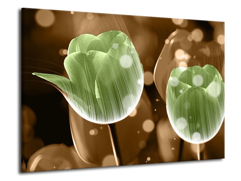 Canvas schilderij Tulp | Groen, Bruin | 70x50cm 1Luik