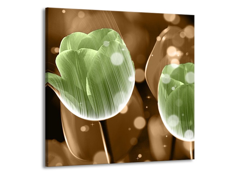 Canvas schilderij Tulp | Groen, Bruin | 70x70cm 1Luik