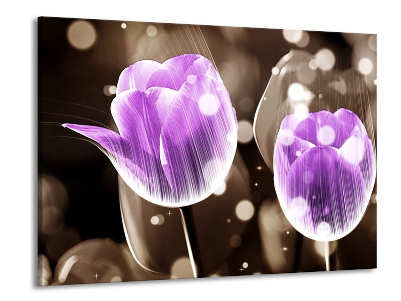 Canvas schilderij Tulp | Paars, Grijs | 100x70cm 1Luik