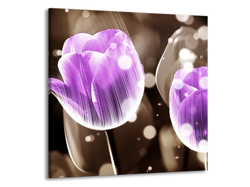 Canvas schilderij Tulp | Paars, Grijs | 50x50cm 1Luik