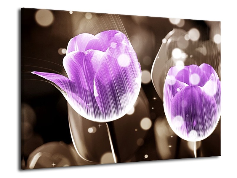 Canvas schilderij Tulp | Paars, Grijs | 70x50cm 1Luik