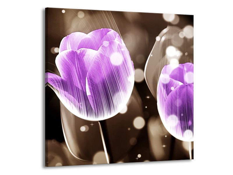 Canvas schilderij Tulp | Paars, Grijs | 70x70cm 1Luik