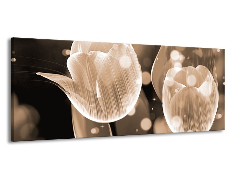Glas schilderij Tulp | Grijs | 145x58cm 1Luik