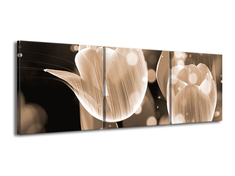 Glas schilderij Tulp | Grijs | 150x50cm 3Luik
