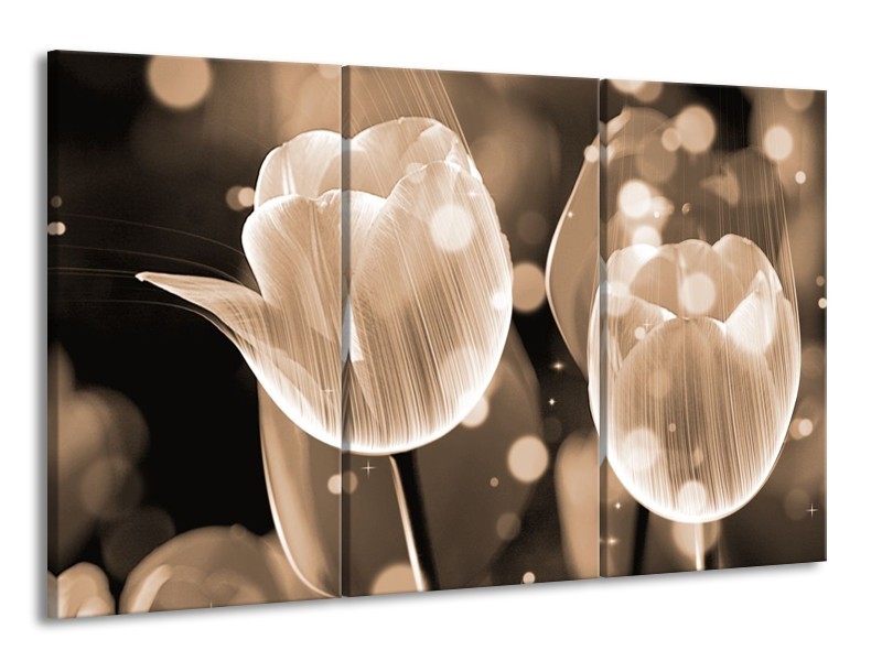 Glas schilderij Tulp | Grijs | 165x100cm 3Luik