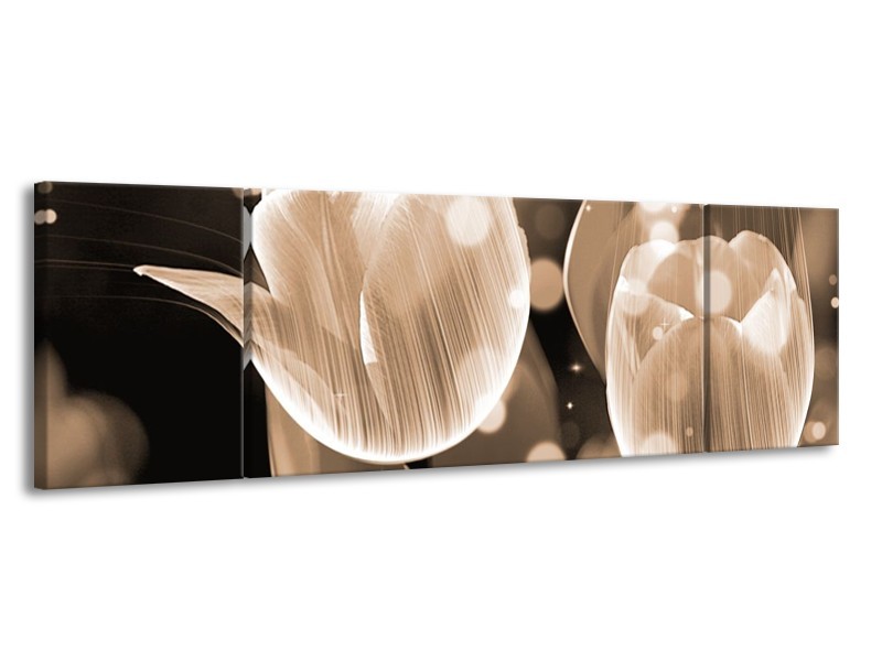 Canvas schilderij Tulp | Grijs | 170x50cm 3Luik