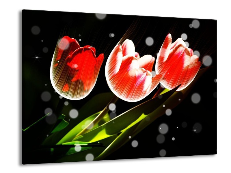Canvas schilderij Tulp | Rood, Groen, Zwart | 100x70cm 1Luik