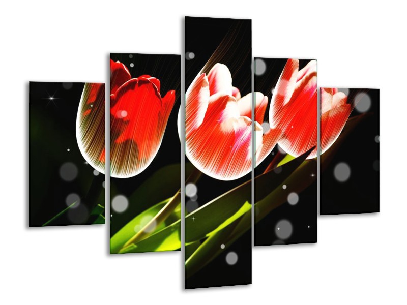 Canvas schilderij Tulp | Rood, Groen, Zwart | 100x70cm 5Luik
