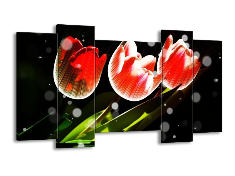 Canvas schilderij Tulp | Rood, Groen, Zwart | 120x65 5Luik