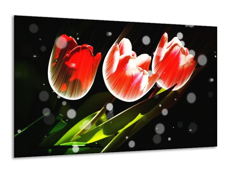 Canvas schilderij Tulp | Rood, Groen, Zwart | 120x70cm 1Luik
