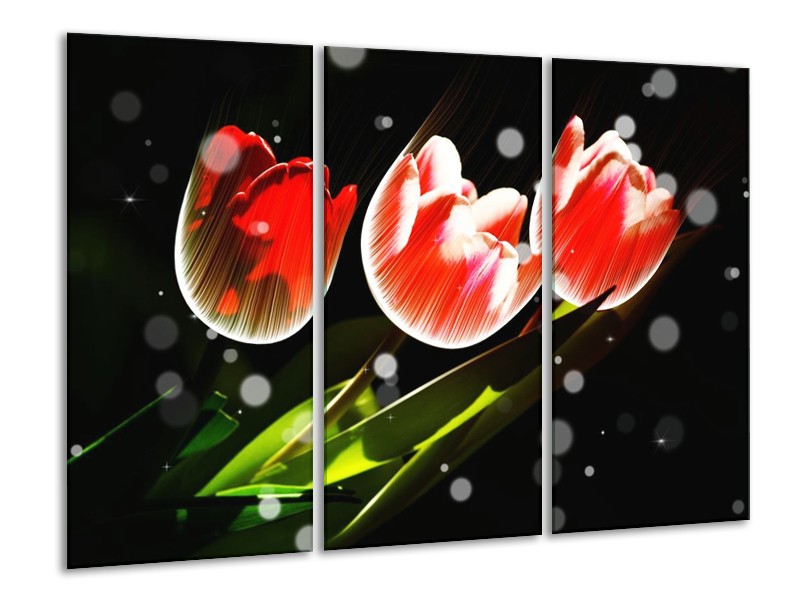 Canvas schilderij Tulp | Rood, Groen, Zwart | 120x80cm 3Luik