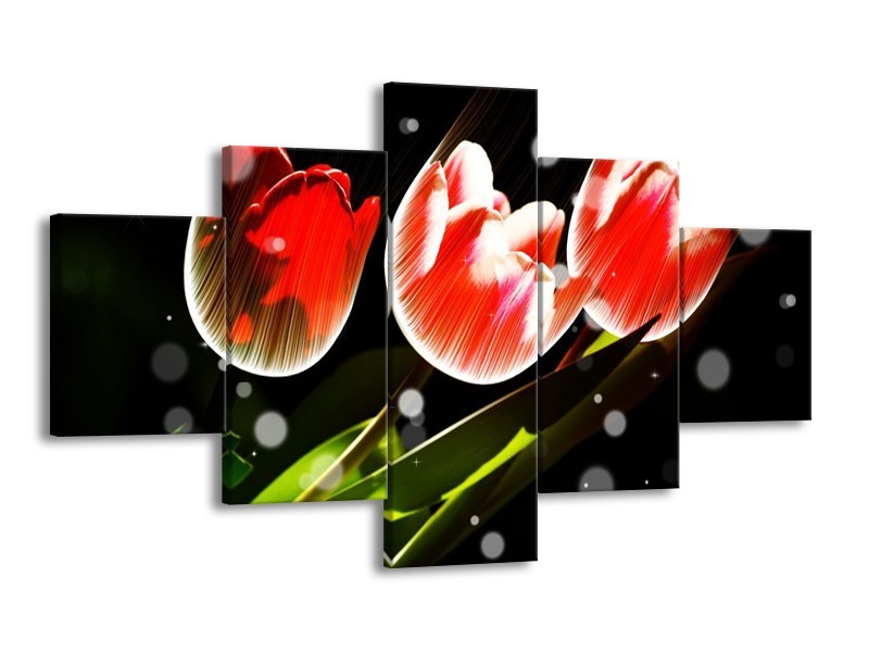 Canvas schilderij Tulp | Rood, Groen, Zwart | 125x70cm 5Luik