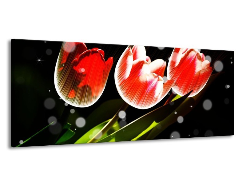 Canvas schilderij Tulp | Rood, Groen, Zwart | 145x58cm 1Luik