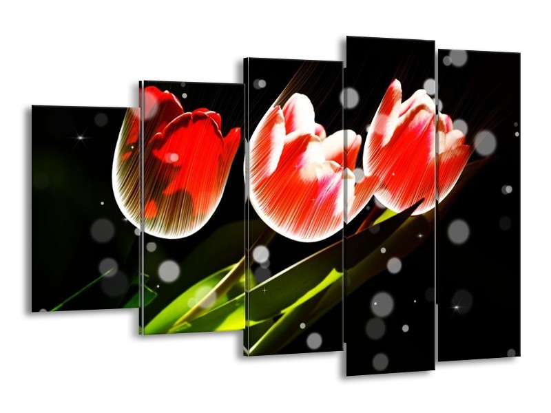 Canvas schilderij Tulp | Rood, Groen, Zwart | 150x100cm 5Luik