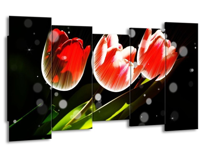 Canvas schilderij Tulp | Rood, Groen, Zwart | 150x80cm 5Luik
