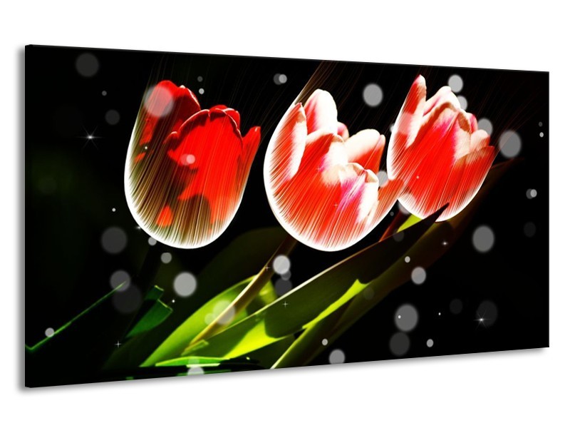 Canvas schilderij Tulp | Rood, Groen, Zwart | 190x100cm 1Luik
