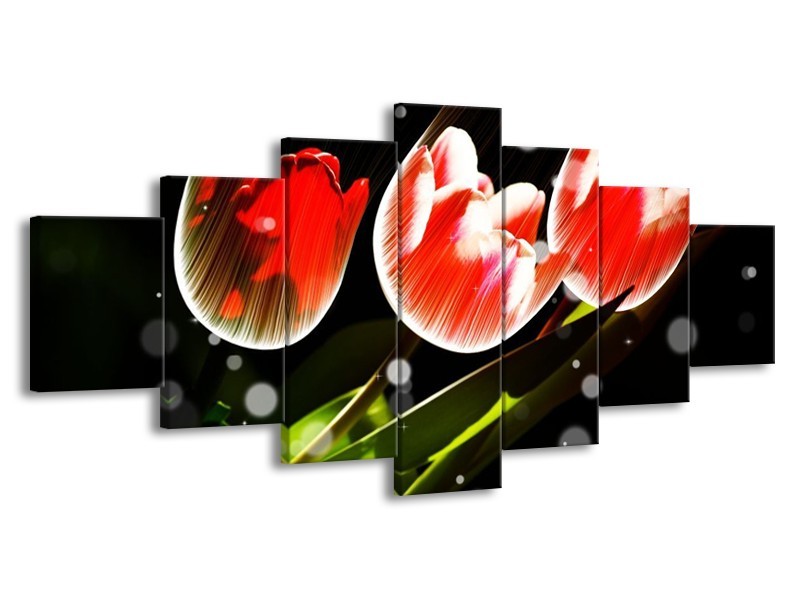 Canvas schilderij Tulp | Rood, Groen, Zwart | 210x100cm 7Luik