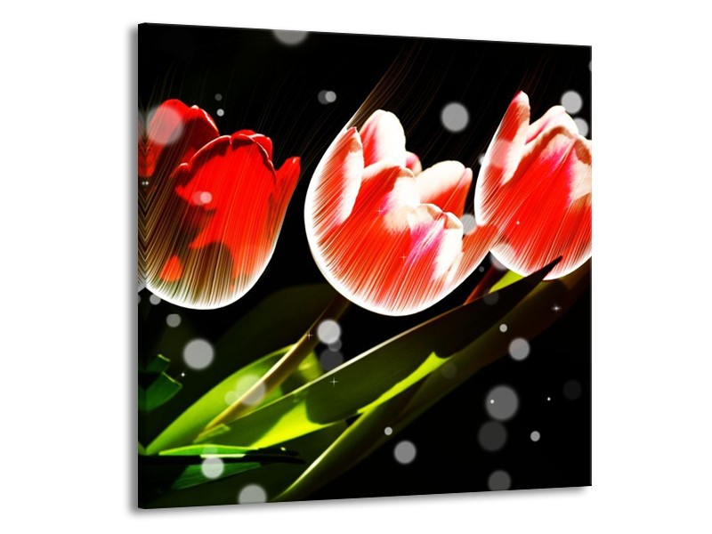 Canvas schilderij Tulp | Rood, Groen, Zwart | 50x50cm 1Luik