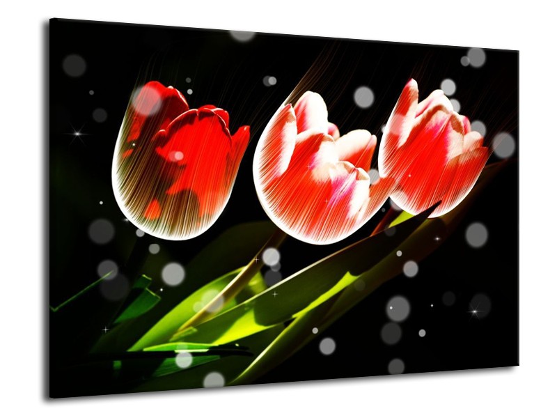 Canvas schilderij Tulp | Rood, Groen, Zwart | 70x50cm 1Luik