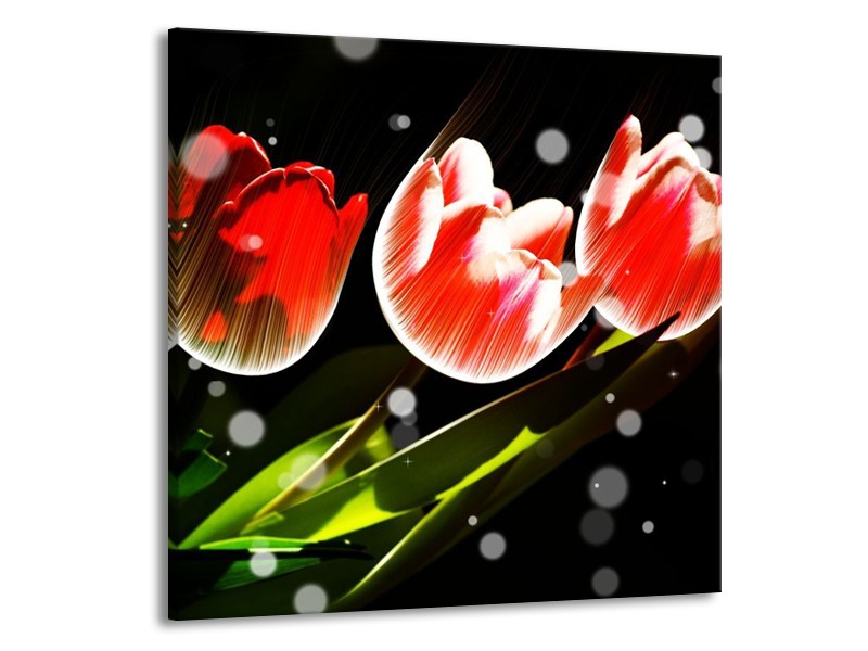 Canvas schilderij Tulp | Rood, Groen, Zwart | 70x70cm 1Luik
