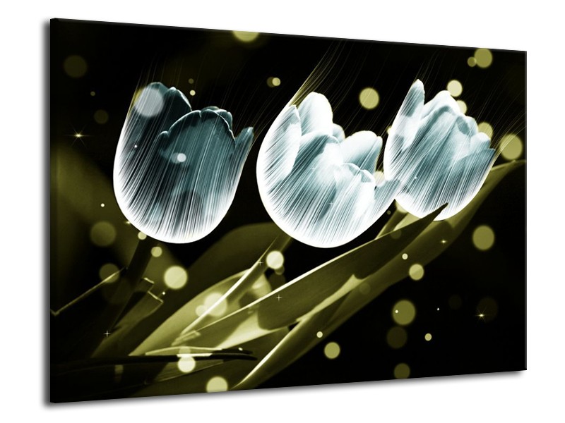 Canvas schilderij Tulp | Blauw, Groen | 70x50cm 1Luik