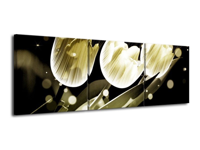 Canvas schilderij Tulp | Wit, Grijs | 120x40cm 3Luik