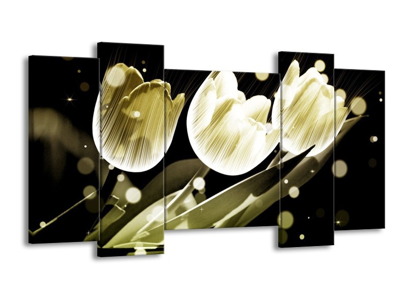 Canvas schilderij Tulp | Wit, Grijs | 120x65 5Luik