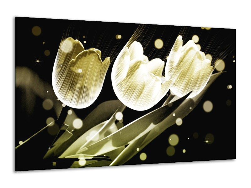 Canvas schilderij Tulp | Wit, Grijs | 120x70cm 1Luik
