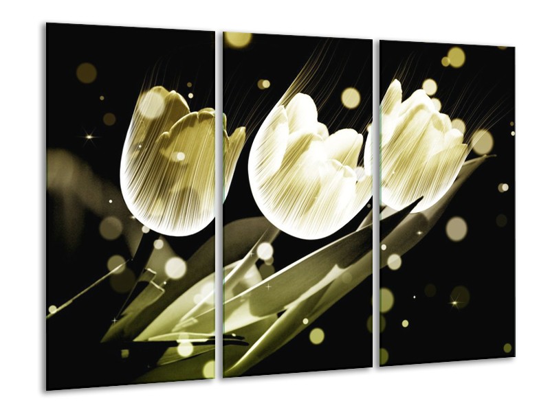 Canvas schilderij Tulp | Wit, Grijs | 120x80cm 3Luik