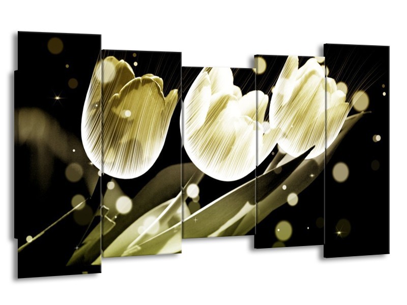 Canvas schilderij Tulp | Wit, Grijs | 150x80cm 5Luik